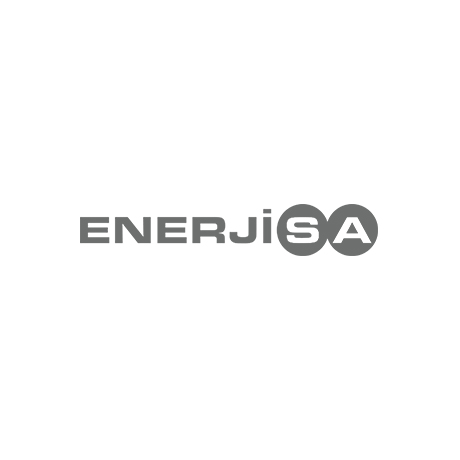 Enerjisa