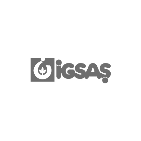 İGSAŞ