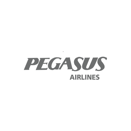 Pegasus Airlines