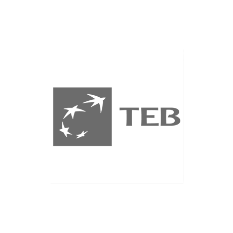 TEB